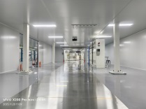 㶫²޹˾1000OͿװ׹̿